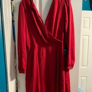 Express Long sleeve dress